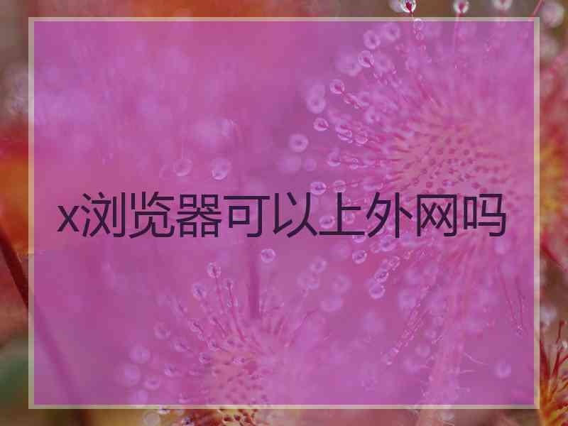 x浏览器可以上外网吗