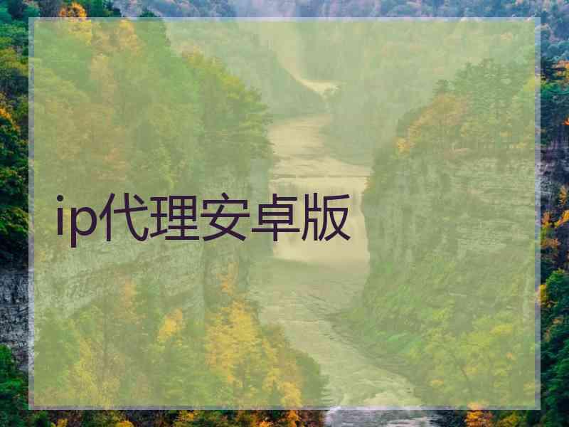 ip代理安卓版