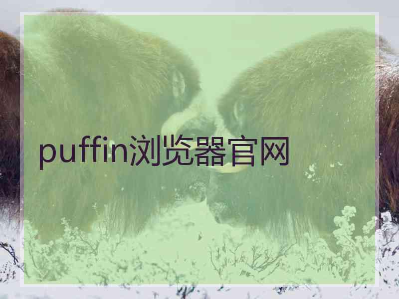 puffin浏览器官网