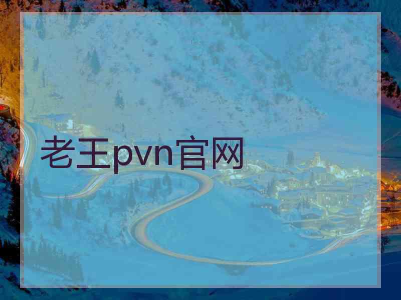 老王pvn官网
