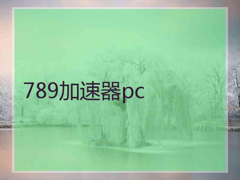 789加速器pc
