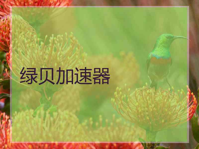 绿贝加速器