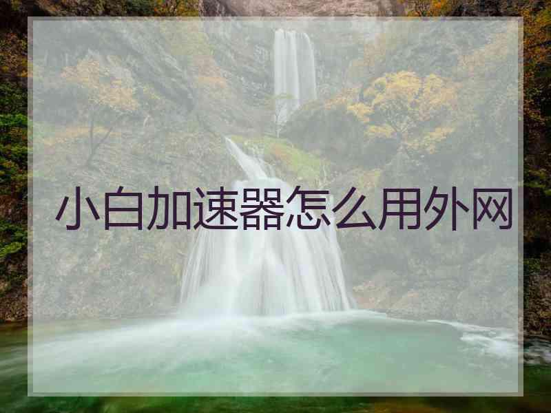 小白加速器怎么用外网