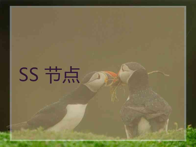 SS 节点