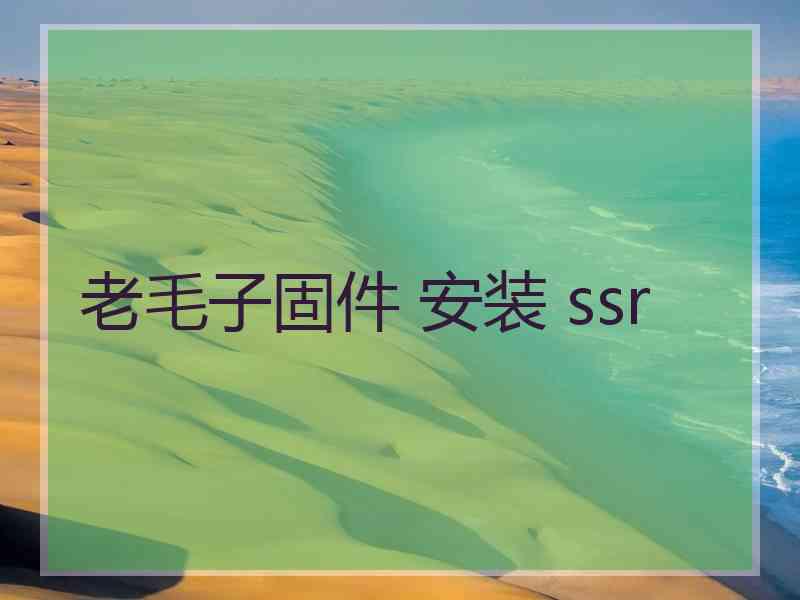 老毛子固件 安装 ssr