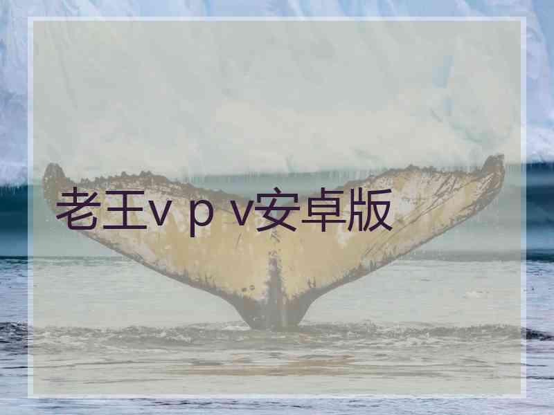 老王v p v安卓版