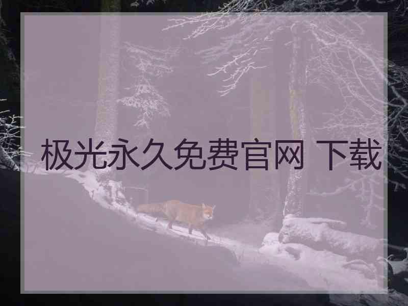 极光永久免费官网 下载