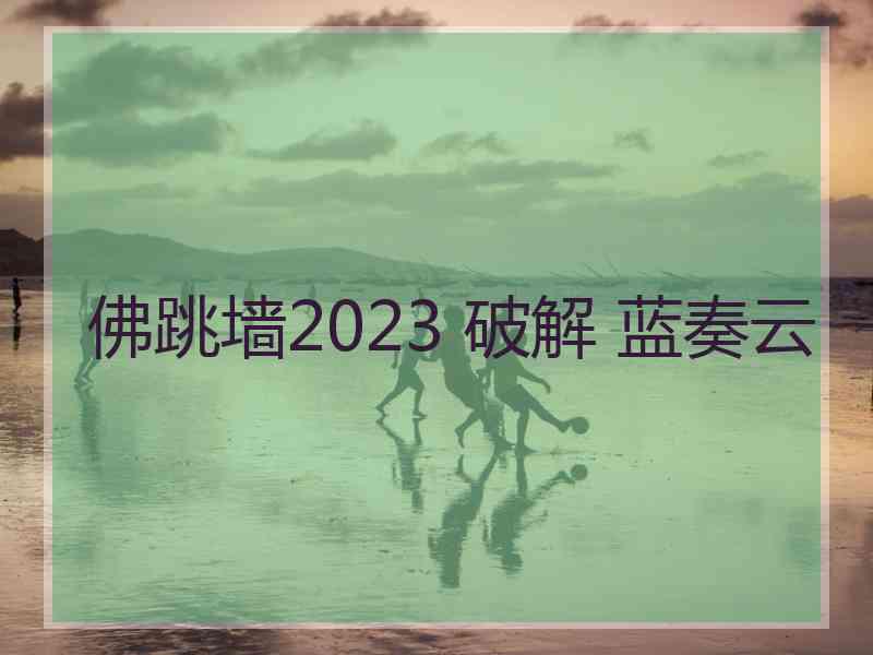 佛跳墙2023 破解 蓝奏云