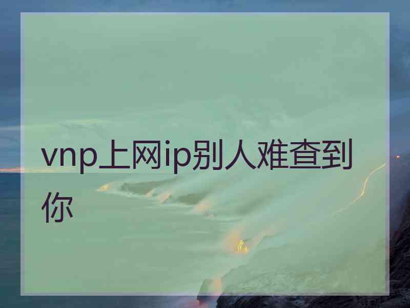 vnp上网ip别人难查到你