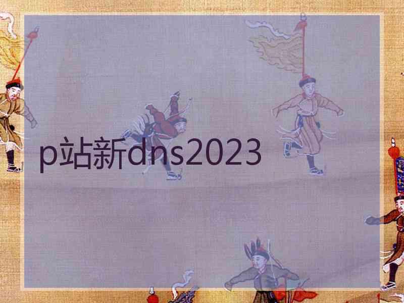 p站新dns2023