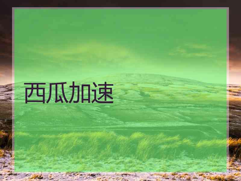 西瓜加速