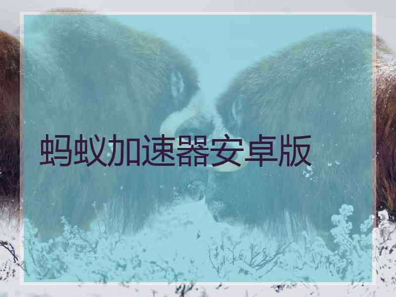 蚂蚁加速器安卓版