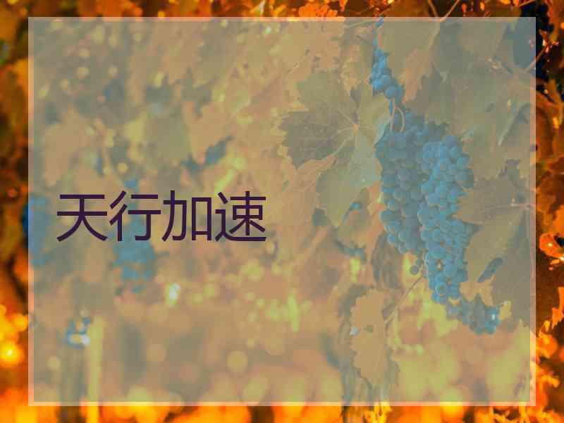 天行加速