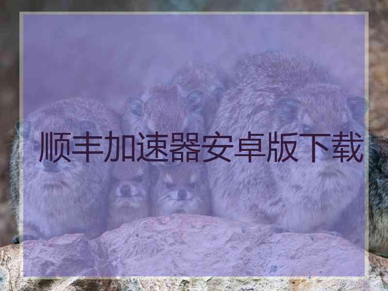 顺丰加速器安卓版下载