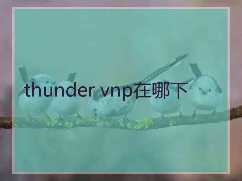 thunder vnp在哪下