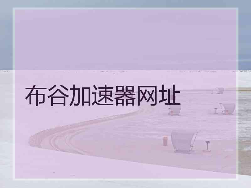 布谷加速器网址