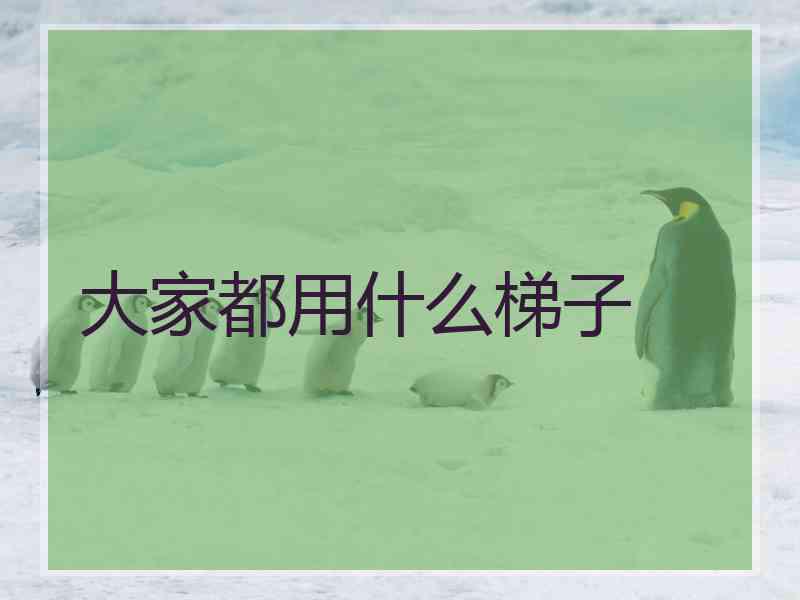 大家都用什么梯子