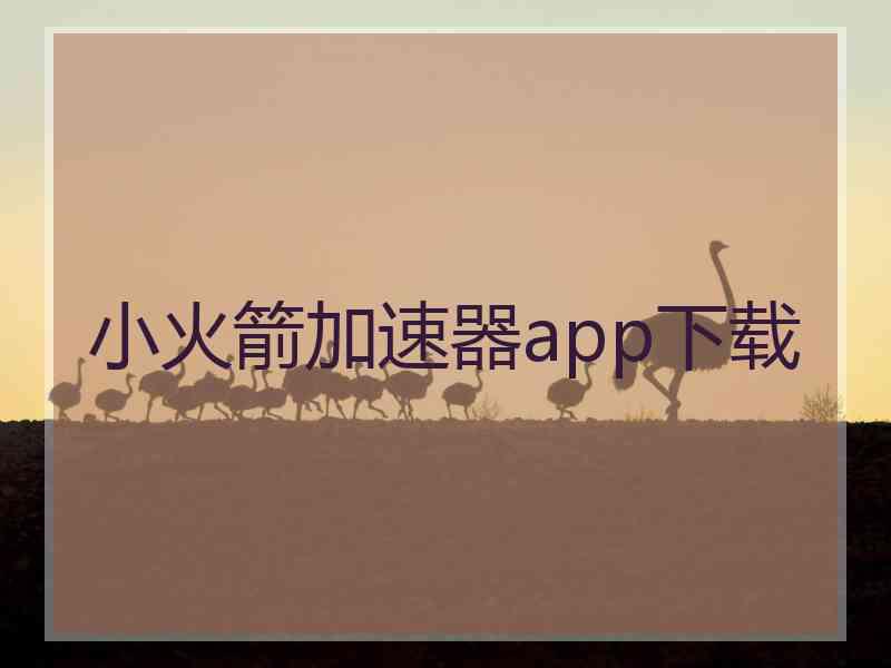 小火箭加速器app下载