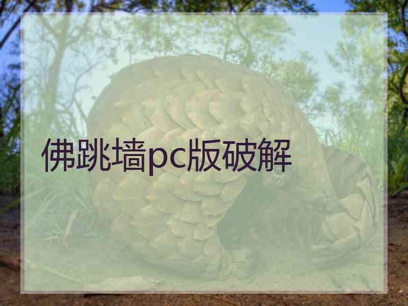 佛跳墙pc版破解