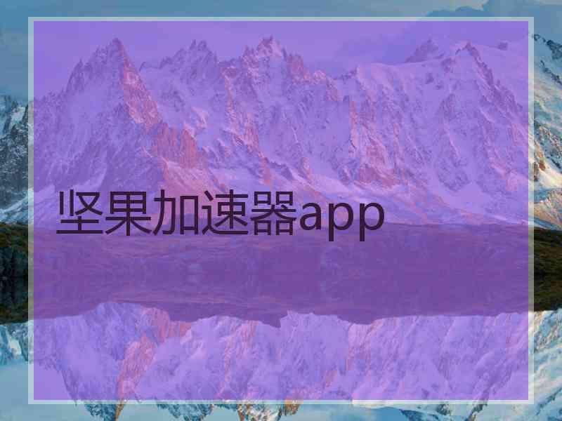 坚果加速器app