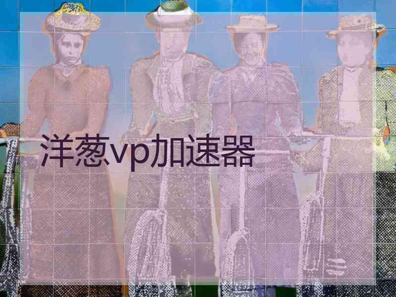 洋葱vp加速器