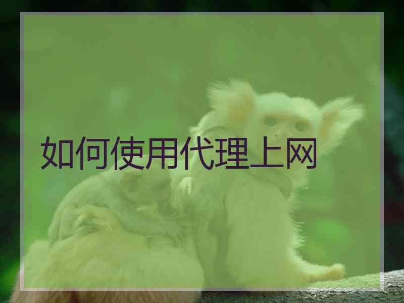 如何使用代理上网