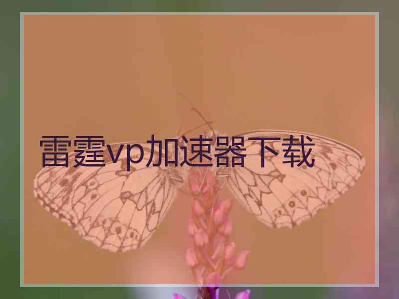 雷霆vp加速器下载