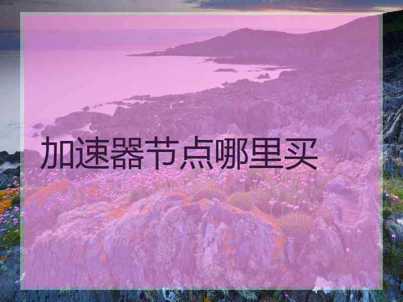加速器节点哪里买