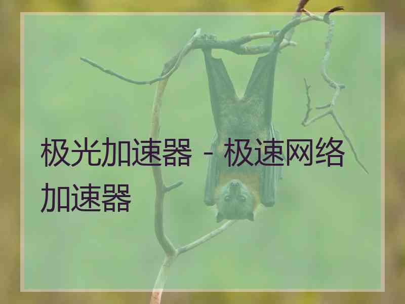 极光加速器 - 极速网络加速器
