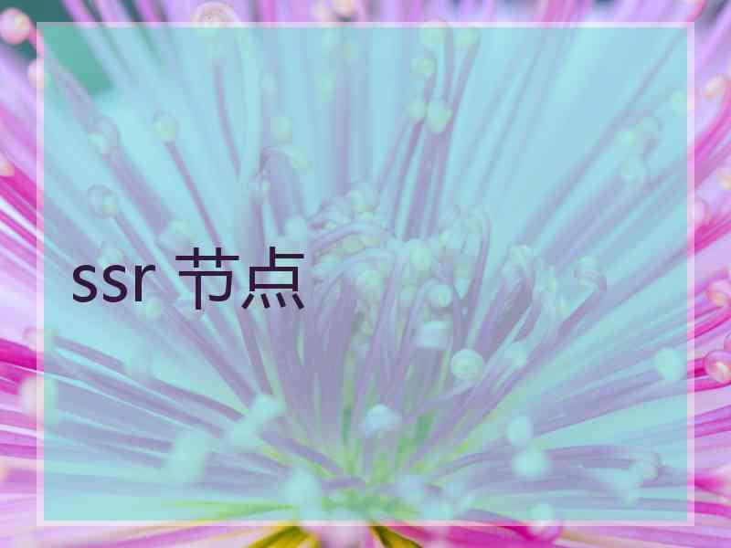 ssr 节点