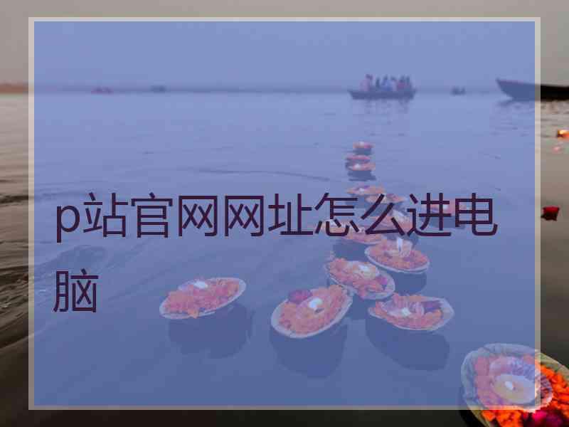 p站官网网址怎么进电脑
