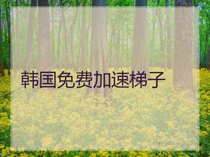 韩国免费加速梯子