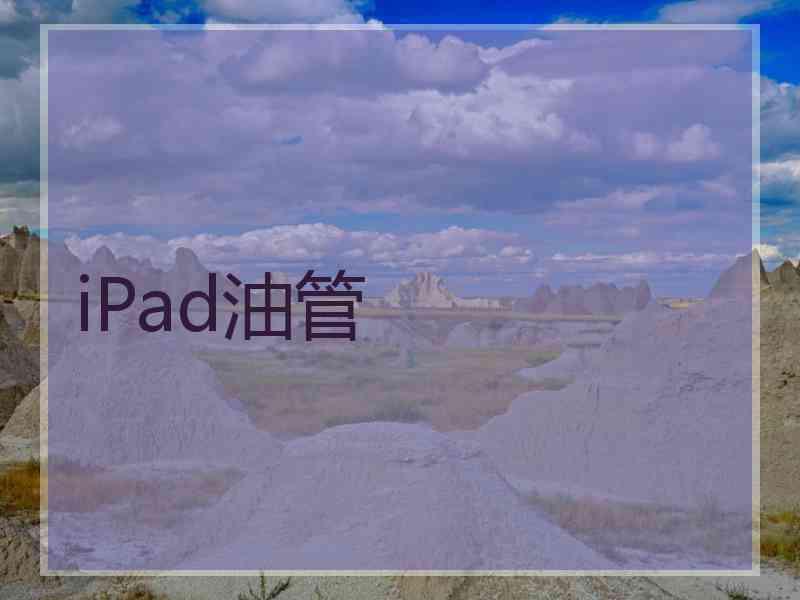 iPad油管