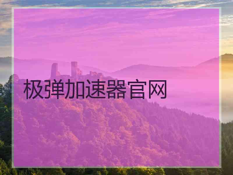 极弹加速器官网