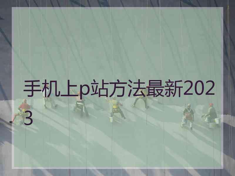 手机上p站方法最新2023