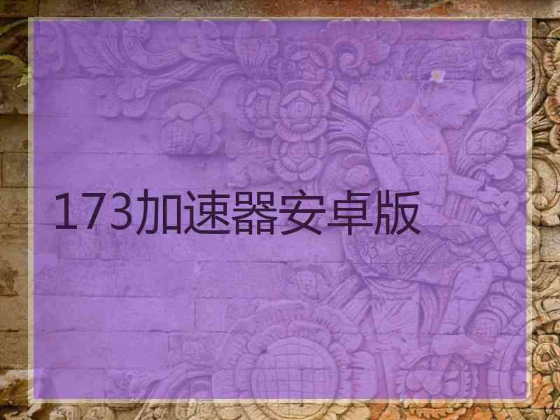 173加速器安卓版