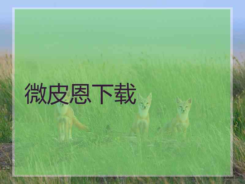 微皮恩下载