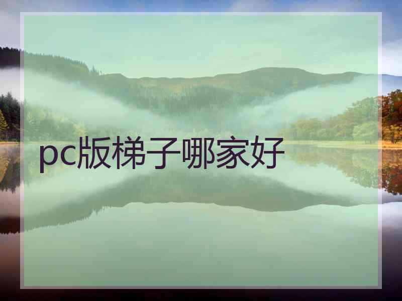 pc版梯子哪家好