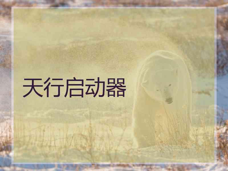 天行启动器
