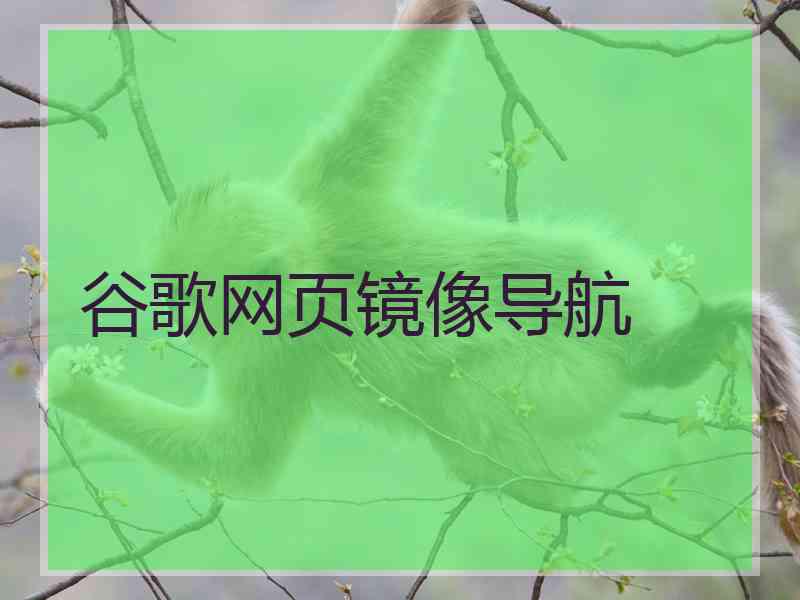谷歌网页镜像导航