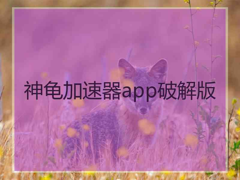 神龟加速器app破解版