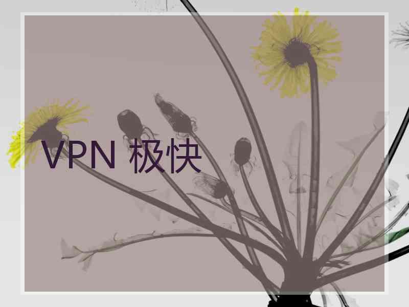 VPN 极快