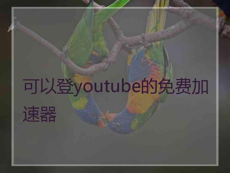 可以登youtube的免费加速器