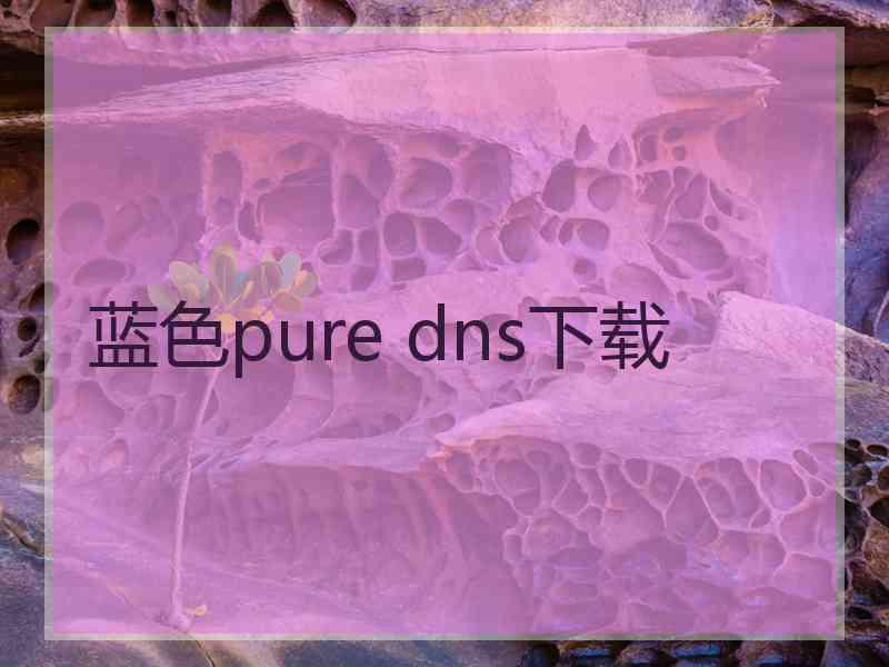蓝色pure dns下载