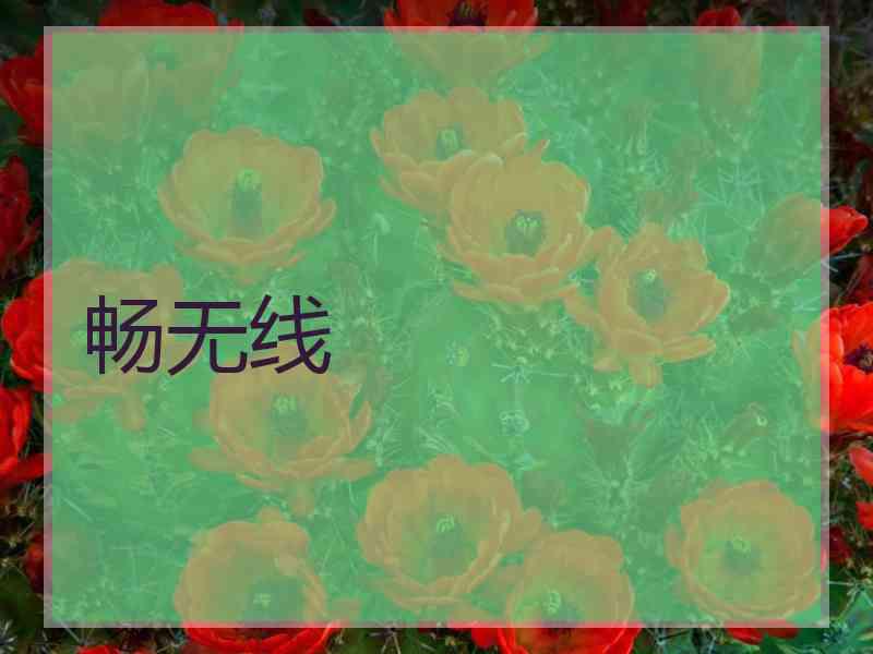 畅无线