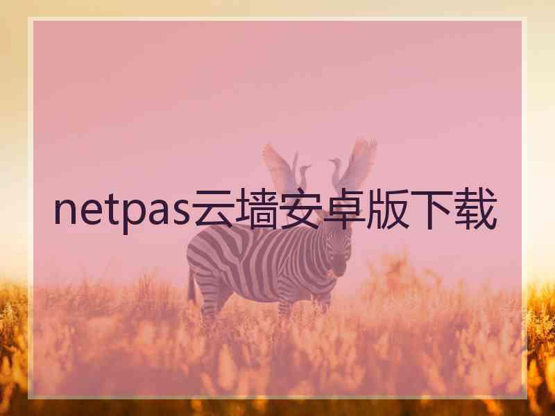netpas云墙安卓版下载