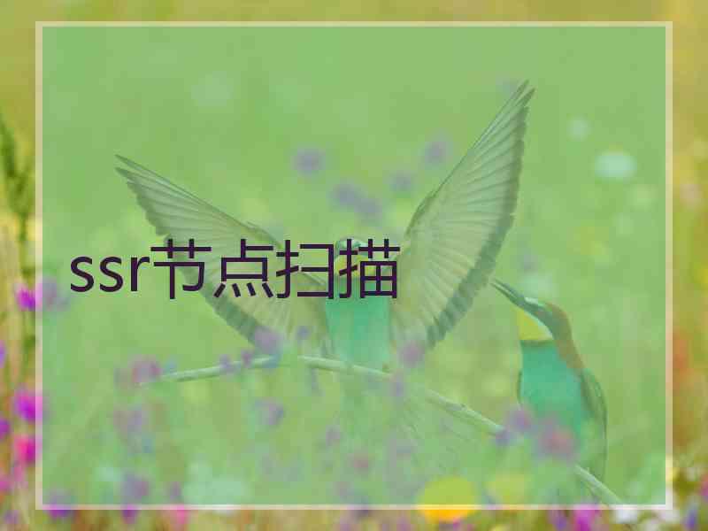 ssr节点扫描