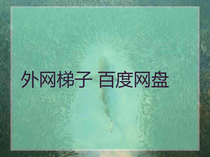 外网梯子 百度网盘