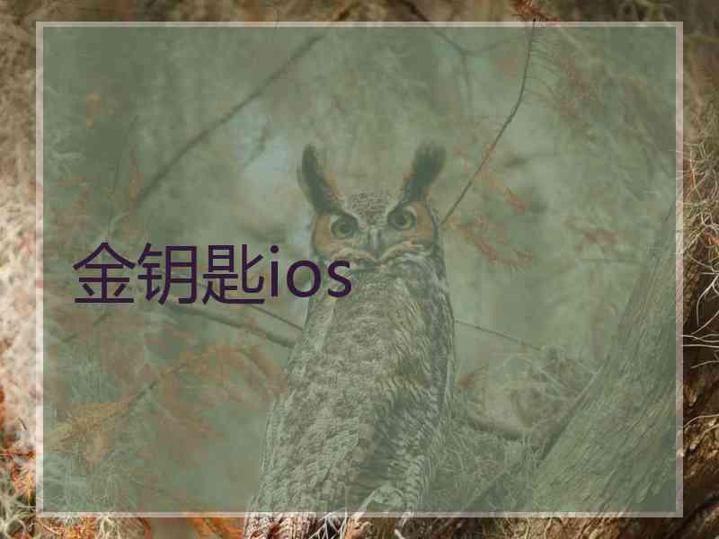 金钥匙ios