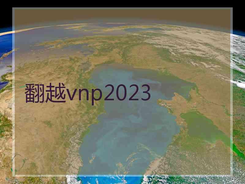 翻越vnp2023